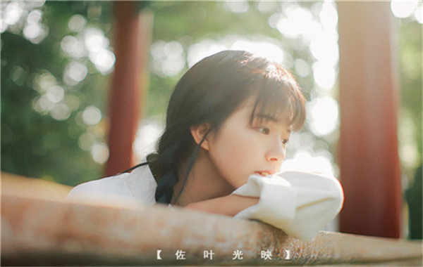 会同胎儿性别鉴定需要多少钱(胎儿性别鉴定的方法)